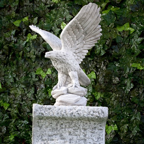 Aquila delle Alpi